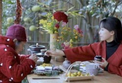 李子柒最新消息爆料,揭秘田园生活背后的故事