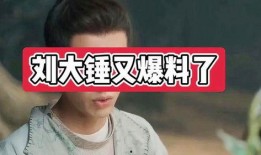 刘大锤最新爆料是谁的,揭秘神秘人物身份之谜