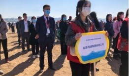 山东临沂爆料最新新闻报道,突发事件引发关注